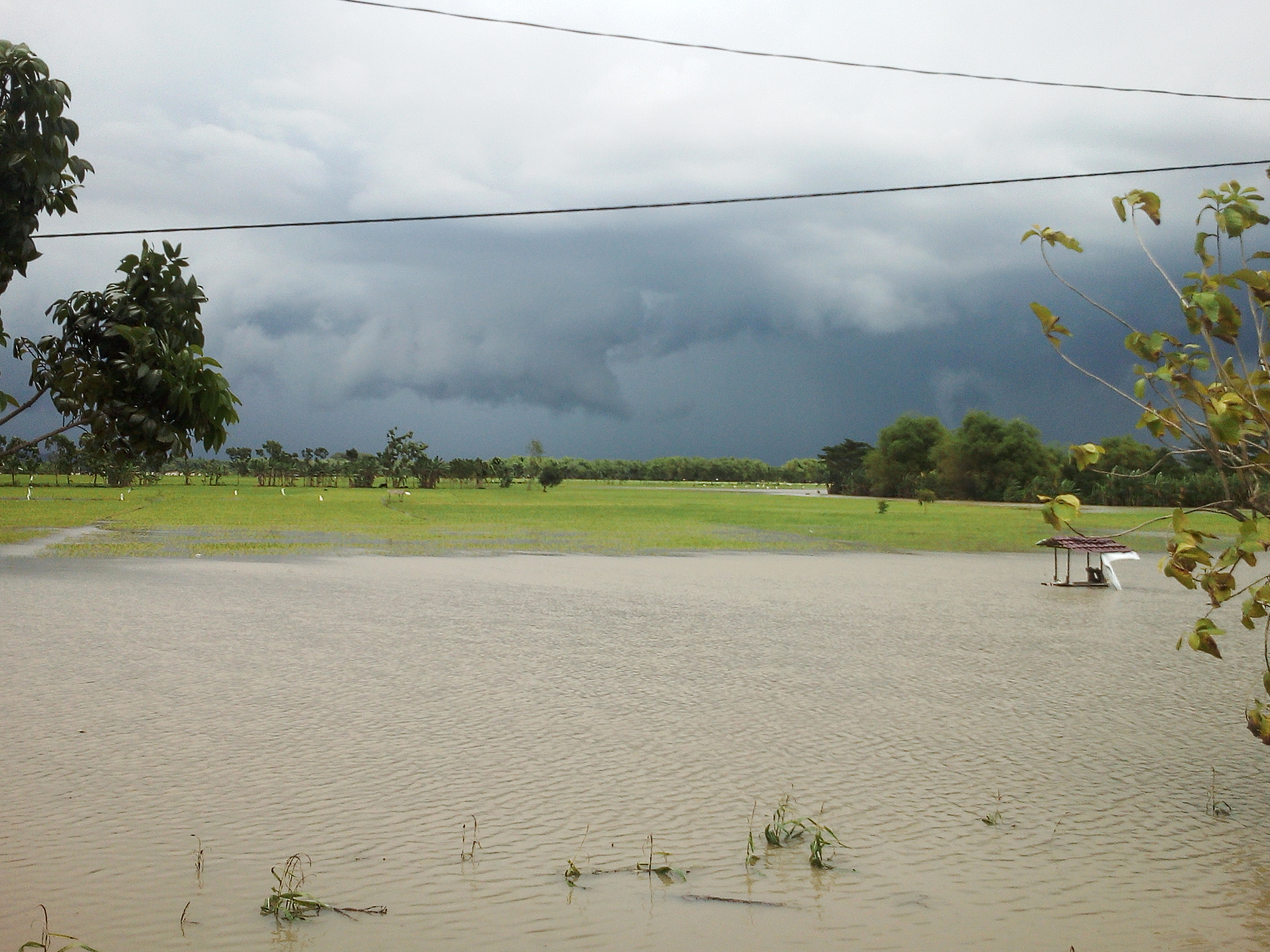 Total Kerugian Petani Akibat Banjir Capai Rp350 Juta